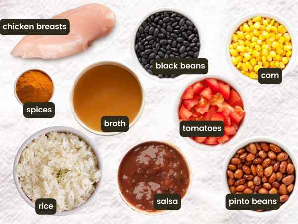 white background with bowls of food including chicken breasts, spices, rice, broth, salsa, tomatoes, black beans, corn, and pinto beans